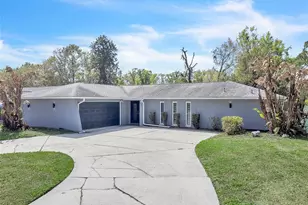 4727 Steel Dust Ln, Lutz, FL 33559 - Photo 1