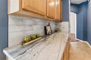 4315 Whittner Dr, Land O Lakes, FL 34639 - Photo 14