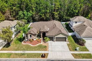 1644 Beaconsfield Dr, Wesley Chapel, FL 33543 - Photo 4