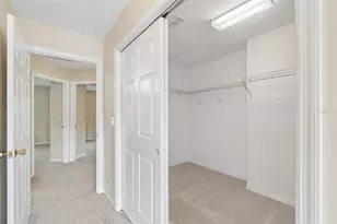 20112 Indian Rosewood Dr, Tampa, FL 33647 - Photo 40