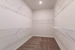 10061 Trellis Vine Wy, Parrish, FL 34219 - Photo 16