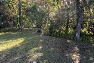 10330 Armadillo Ct, New Port Richey, FL 34654 - Photo 66