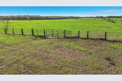 855 NE 107th Road, Oxford, FL 34484 - Photo 44