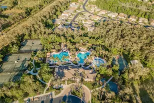 27004 Cool Stream Ln, Wesley Chapel, FL 33544 - Photo 38