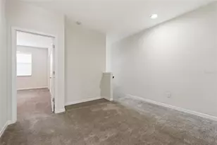 27004 Cool Stream Ln, Wesley Chapel, FL 33544 - Photo 18