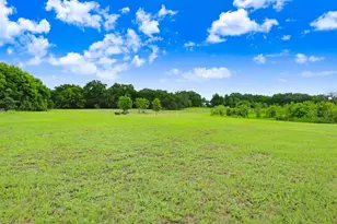 37352 Â½ Trilby Rd, Dade City, FL 33523 - Photo 1