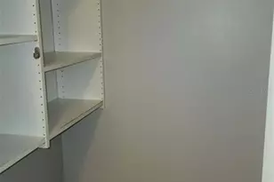 5508 Pokeweed Ct, Tampa, FL 33617 - Photo 8