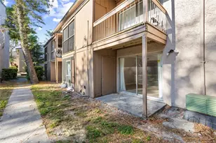 5508 Pokeweed Ct, Tampa, FL 33617 - Photo 20