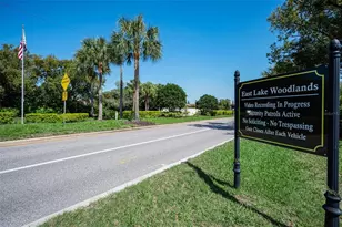 4777 Edge Park Dr, Oldsmar, FL 34677 - Photo 80