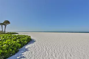 419 12th Ave, Indian Rocks Beach, FL 33785 - Photo 42