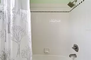 1310 Kings Way Ln, Tarpon Springs, FL 34688 - Photo 38