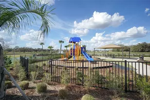 33700 Jasper Stone Dr, Wesley Chapel, FL 33543 - Photo 28