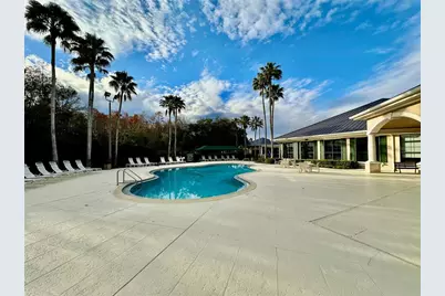 10222 Devonshire Lake Drive, Tampa, FL 33647 - Photo 46