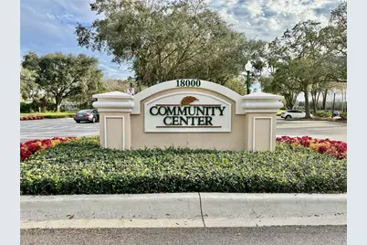 10222 Devonshire Lake Drive, Tampa, FL 33647 - Photo 26