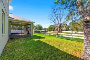 6823 Green Heron Dr, Wesley Chapel, FL 33545 - Photo 68