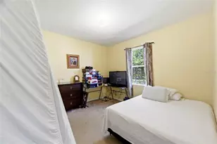 6823 Green Heron Dr, Wesley Chapel, FL 33545 - Photo 48