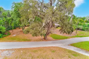 1220 Vinewood Dr, Seffner, FL 33584 - Photo 22