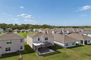 2814 Common Fig Run, Wesley Chapel, FL 33543 - Photo 60