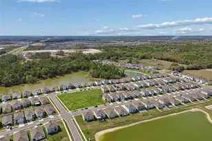 2814 Common Fig Run, Wesley Chapel, FL 33543 - Photo 58