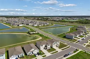 2814 Common Fig Run, Wesley Chapel, FL 33543 - Photo 56