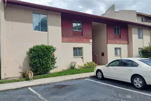 3836 N Lake Dr, Tampa, FL 33614 - Photo 4