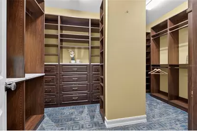 31335 Driscoll Drive, Wesley Chapel, FL 33543 - Photo 44