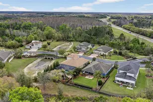 31335 Driscoll Dr, Wesley Chapel, FL 33543 - Photo 82