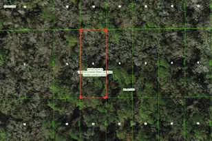 Unassigned, Wesley Chapel, FL 33544 - Photo 1