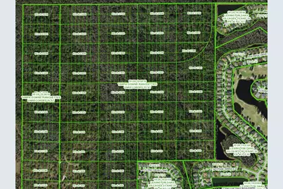 Unassigned, Wesley Chapel, FL 33544 - Photo 4