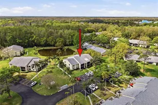 1488 Pine Glen Ln, Tarpon Springs, FL 34688 - Photo 58