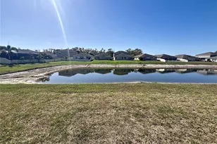10241 Strawberry Tetra Dr, Riverview, FL 33578 - Photo 2