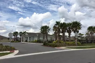 10241 Strawberry Tetra Dr, Riverview, FL 33578 - Photo 32