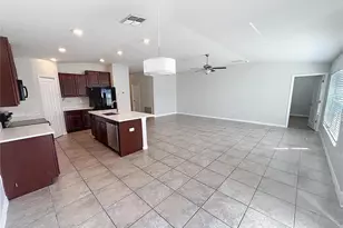 10241 Strawberry Tetra Dr, Riverview, FL 33578 - Photo 8