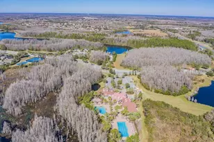 19101 Lone Creek Ct, Land O Lakes, FL 34638 - Photo 76