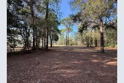 6479 W Holiday Street, Homosassa, FL 34446 - Photo 1