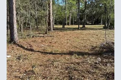 6479 W Holiday Street, Homosassa, FL 34446 - Photo 10
