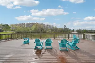 30167 Southwell Ln, Wesley Chapel, FL 33543 - Photo 38