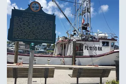 2216 Parrot Fish Drive, Holiday, FL 34691 - Photo 54