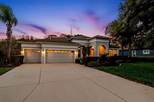 19420 Autumn Chase Ct, Land O Lakes, FL 34638 - Photo 1