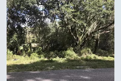 County Road 213, Wildwood, FL 34785 - Photo 1