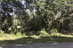 County Road 213, Wildwood, FL 34785 - Photo 1