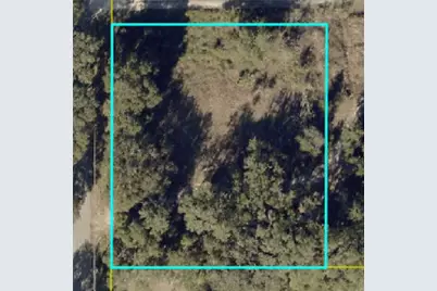 County Road 213, Wildwood, FL 34785 - Photo 2