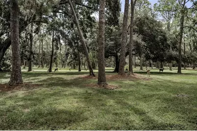 3164 Brooker Creek Way, Palm Harbor, FL 34685 - Photo 56