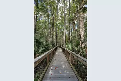 3164 Brooker Creek Way, Palm Harbor, FL 34685 - Photo 66