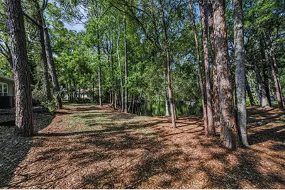 3164 Brooker Creek Way, Palm Harbor, FL 34685 - Photo 38