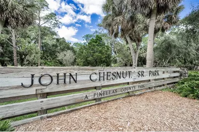 3164 Brooker Creek Way, Palm Harbor, FL 34685 - Photo 54