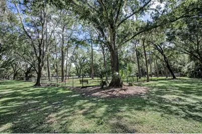 3164 Brooker Creek Way, Palm Harbor, FL 34685 - Photo 68