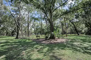3164 Brooker Creek Way, Palm Harbor, FL 34685 - Photo 68