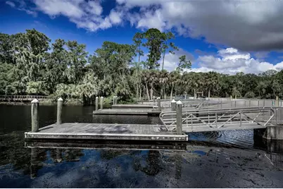3164 Brooker Creek Way, Palm Harbor, FL 34685 - Photo 62