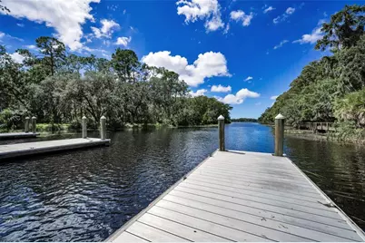 3164 Brooker Creek Way, Palm Harbor, FL 34685 - Photo 60
